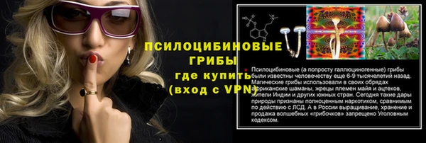 хмурый Бронницы