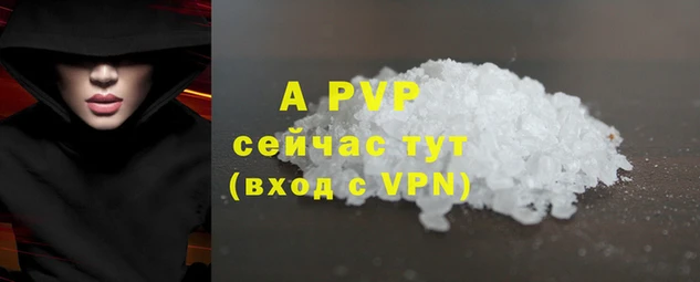 кокс Бородино
