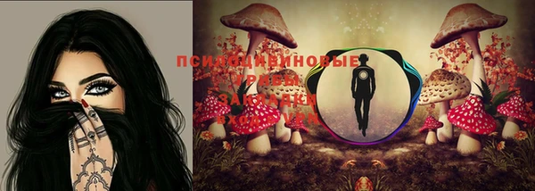 хмурый Бронницы