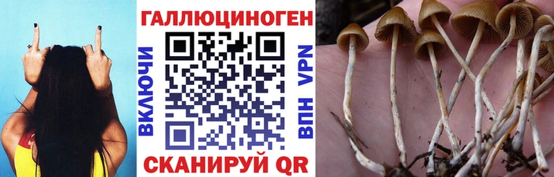 Псилоцибиновые грибы MAGIC MUSHROOMS Боготол