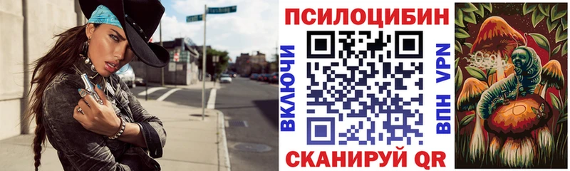 mega онион  Боготол  Псилоцибиновые грибы Psilocybe  закладки 